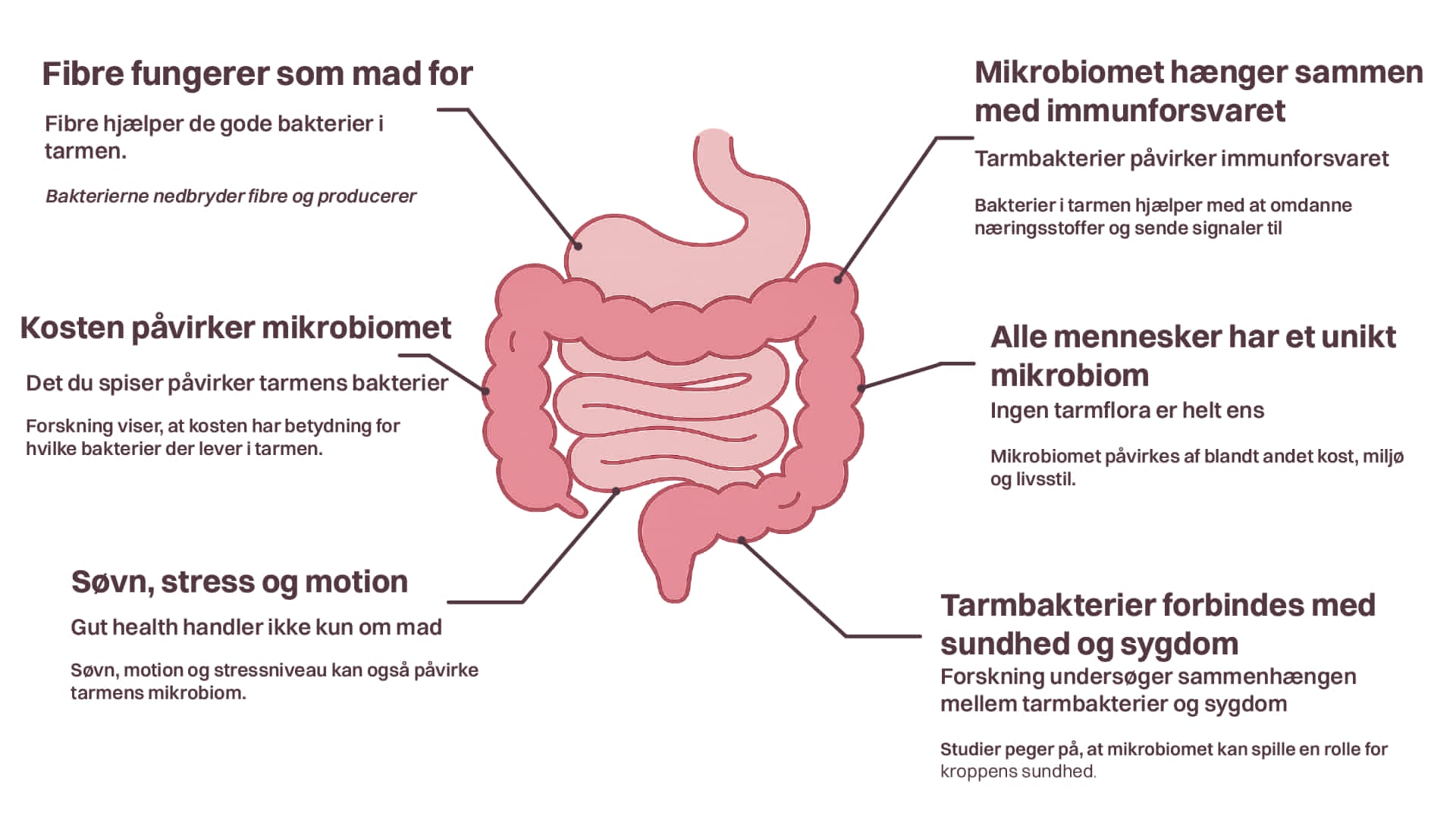Infografik om gut health