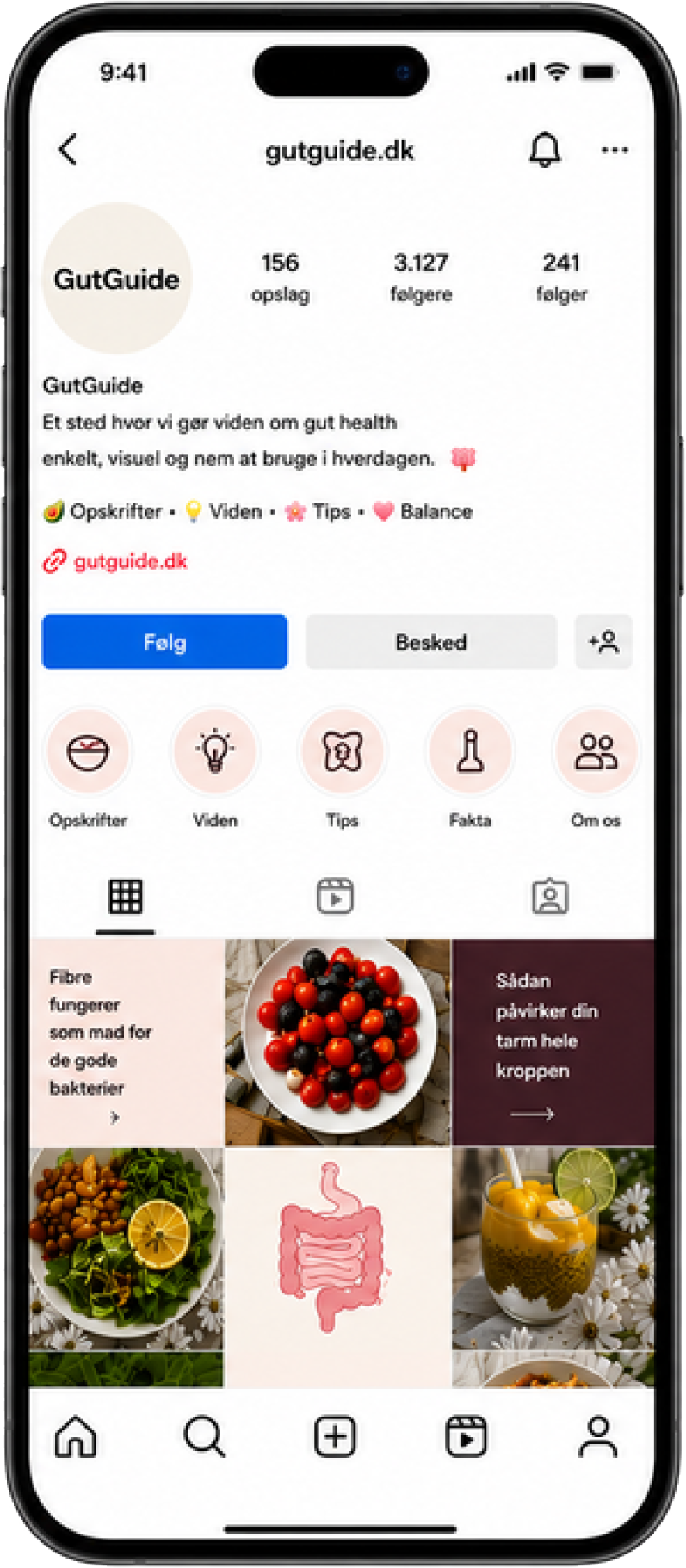 Instagram mockup af GutGuide