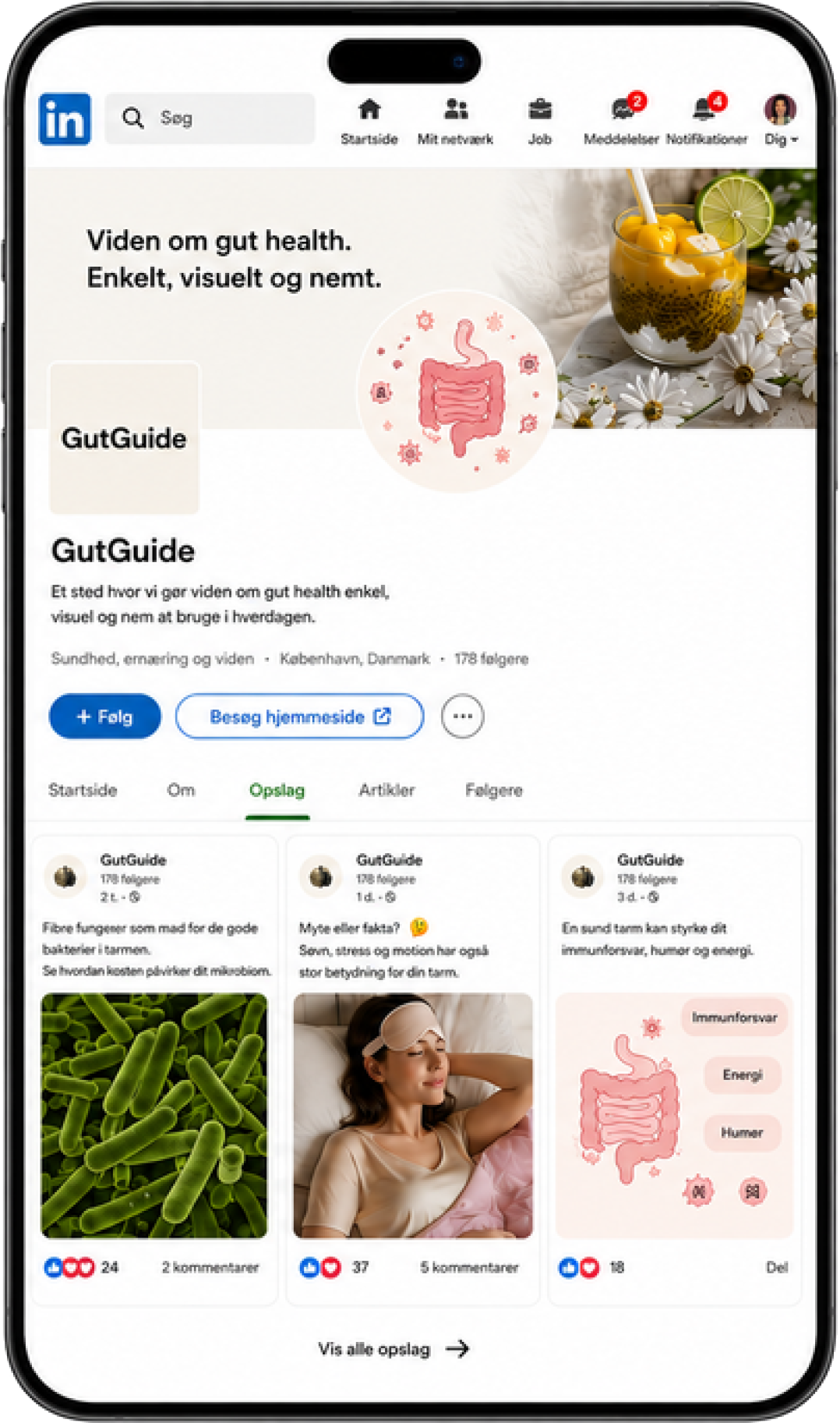 LinkedIn mockup af GutGuide